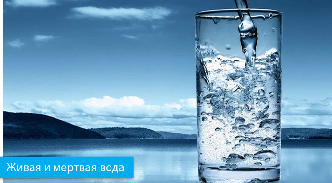 В чем разница между живой водой и мертвой водой В чем разница между живой водой и мертвой водой